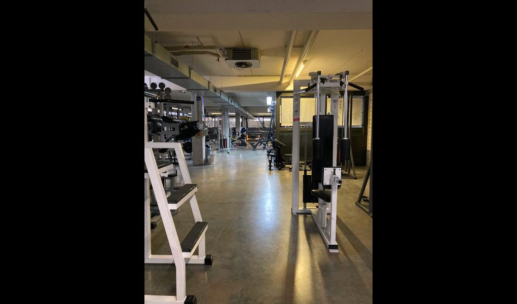 Gym image-Pigspoint Fitness