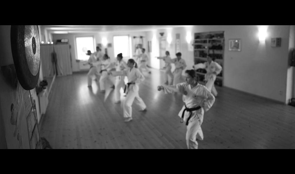 Gym image-Klassisches Tae Kwon Do Schule Gilching / Kettlebell Studio 