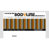 Body Line